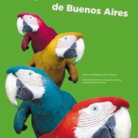 Afiches: Guacamayo. Zoológico de Buenos Aires.
